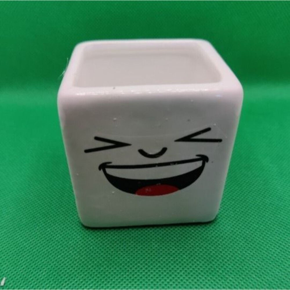 Cute Emoji Planter